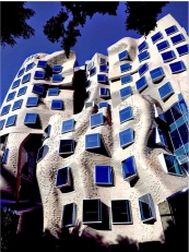 Gehry Bldg
