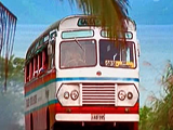 Coca Cola - Fiji