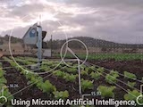 Microsoft The Yield