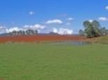 Rest of Australia11