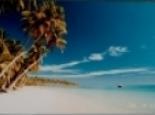 oceania9
