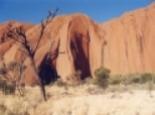 Outback28